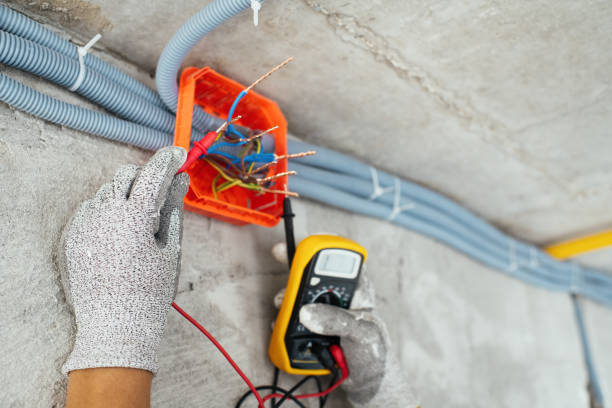 Best Electric Panel Repair  in Edgewood, IN